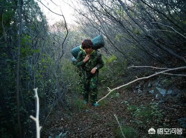 古往今来,为何隐士、修行者会首选终南山隐逸修行?