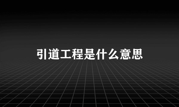 引道工程是什么意思