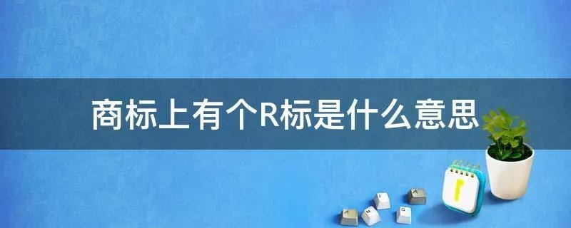 商标上有个R标是什么意思