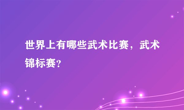 世界上有哪些武术比赛,武术锦标赛?