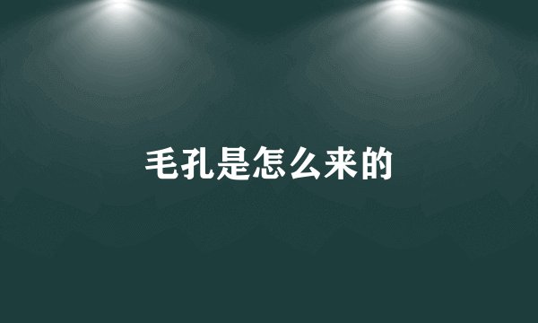 毛孔是怎么来的