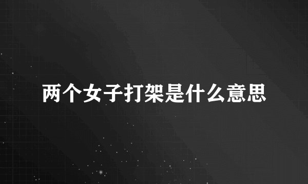 两个女子打架是什么意思