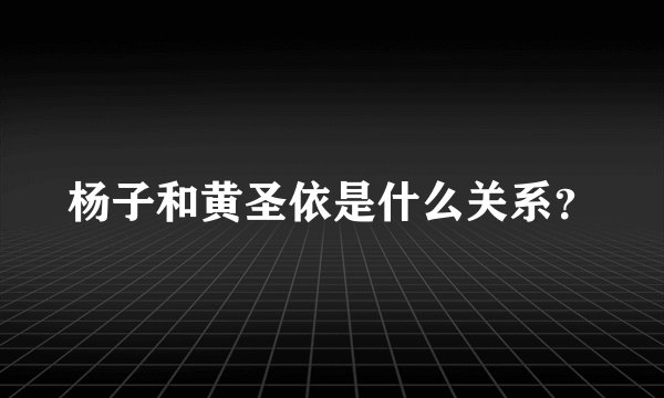 杨子和黄圣依是什么关系？