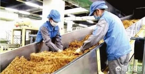 烟草公司招聘条件及待遇如何?好进吗?