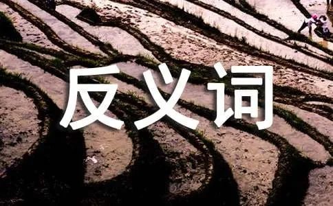 精彩绝伦的反义词