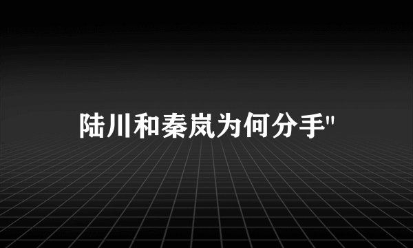 陆川和秦岚为何分手
