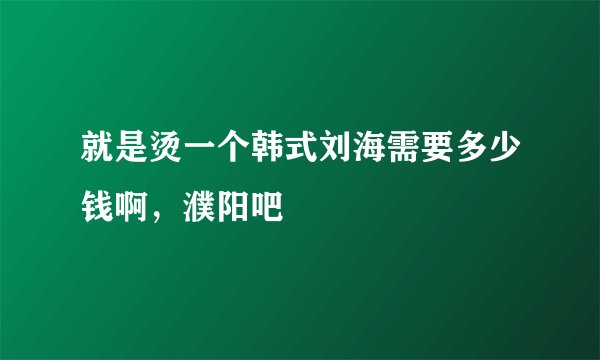 就是烫一个韩式刘海需要多少钱啊，濮阳吧