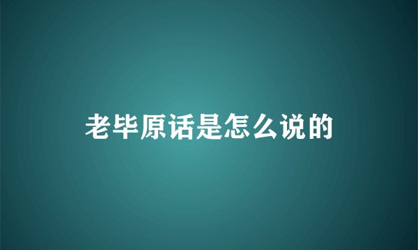 老毕原话是怎么说的