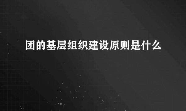 团的基层组织建设原则是什么