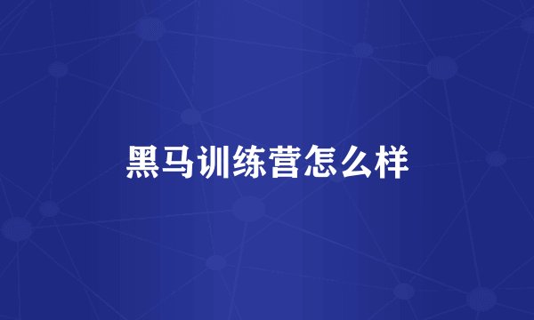 黑马训练营怎么样