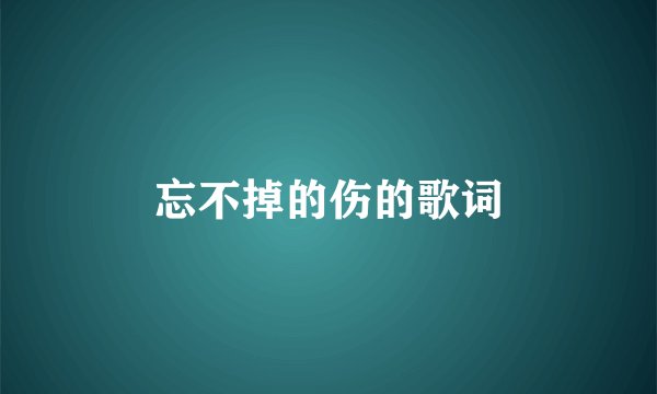 忘不掉的伤的歌词