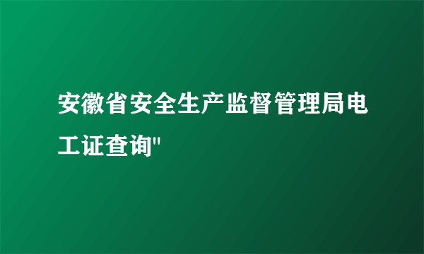 安徽省安全生产监督管理局电工证查询