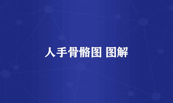 人手骨骼图 图解