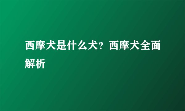 西摩犬是什么犬？西摩犬全面解析