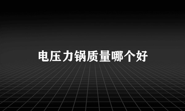 电压力锅质量哪个好