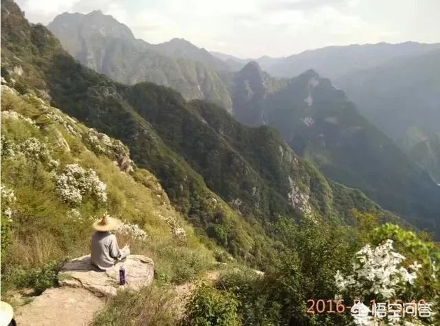 古往今来,为何隐士、修行者会首选终南山隐逸修行?