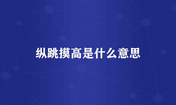 纵跳摸高是什么意思