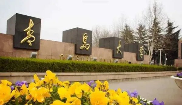 青岛大学与青岛科技大学哪个更好？