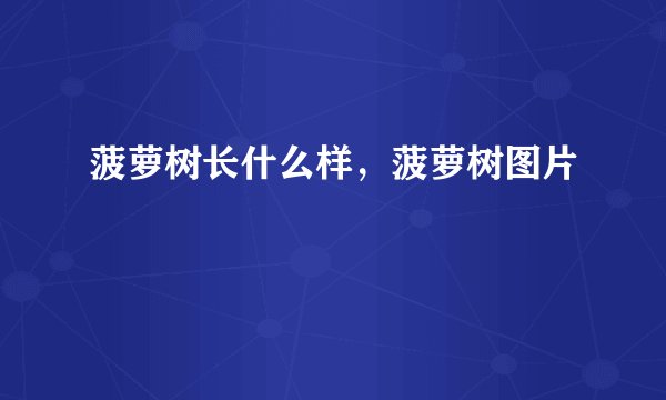 菠萝树长什么样，菠萝树图片