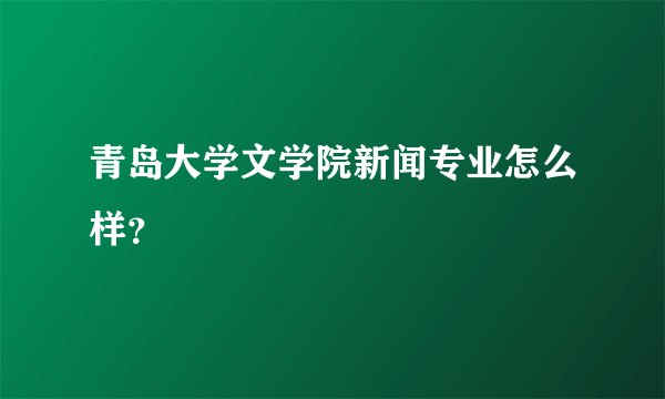 青岛大学文学院新闻专业怎么样？