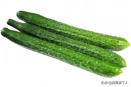 黄瓜种子哪个好?