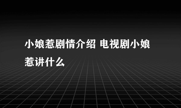 小娘惹剧情介绍 电视剧小娘惹讲什么
