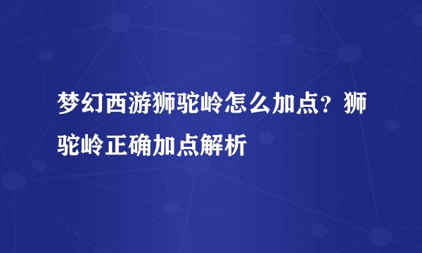 梦幻西游狮驼岭怎么加点？狮驼岭正确加点解析