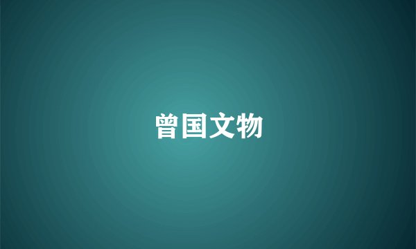 曾国文物