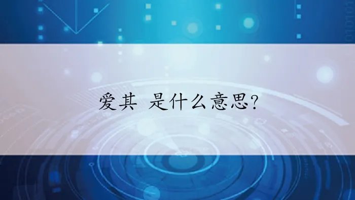 爱其 是什么意思?