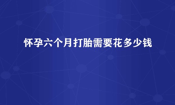 怀孕六个月打胎需要花多少钱
