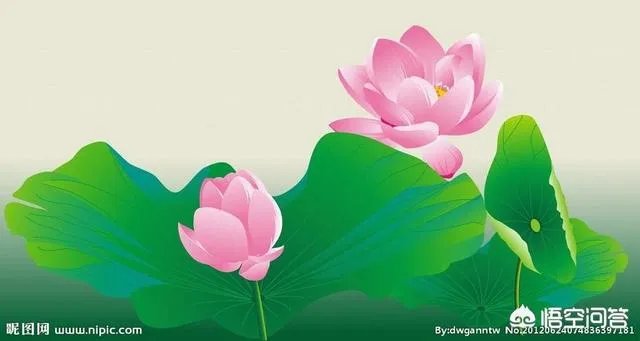 古往今来,为何隐士、修行者会首选终南山隐逸修行?