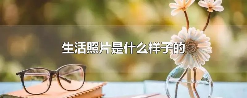 生活照片是什么样子的