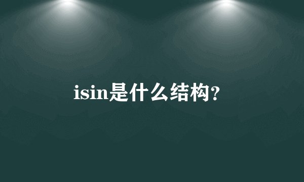 isin是什么结构？