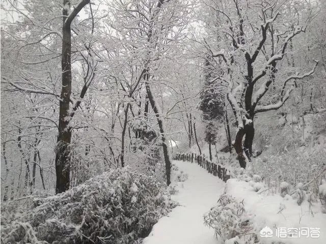 古往今来,为何隐士、修行者会首选终南山隐逸修行?