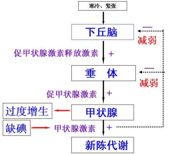 反馈和负反馈有什么区别