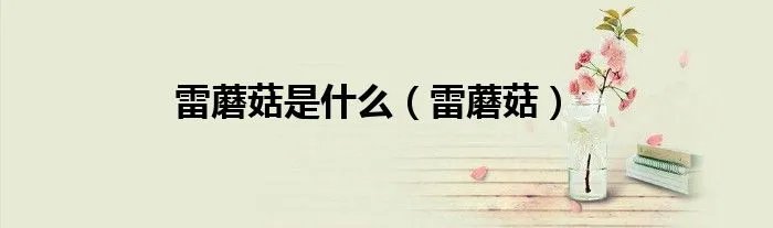 雷蘑菇是什么(雷蘑菇)