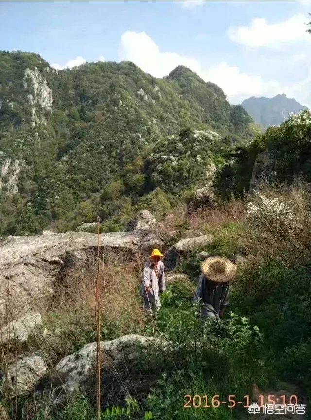 古往今来,为何隐士、修行者会首选终南山隐逸修行?
