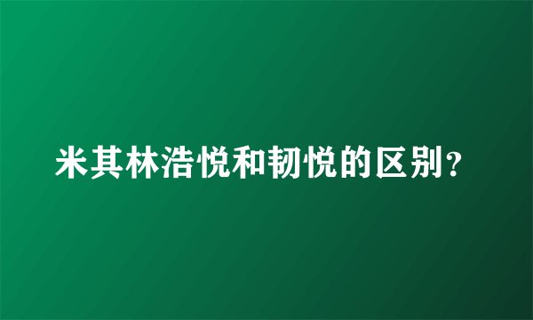 米其林浩悦和韧悦的区别？