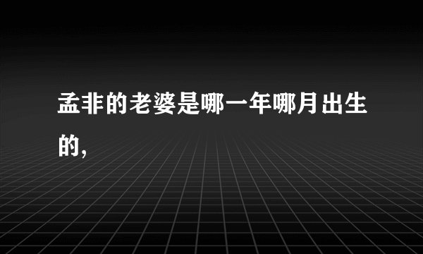 孟非的老婆是哪一年哪月出生的,