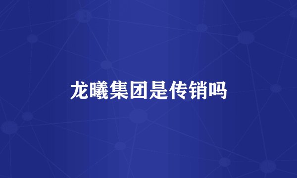 龙曦集团是传销吗