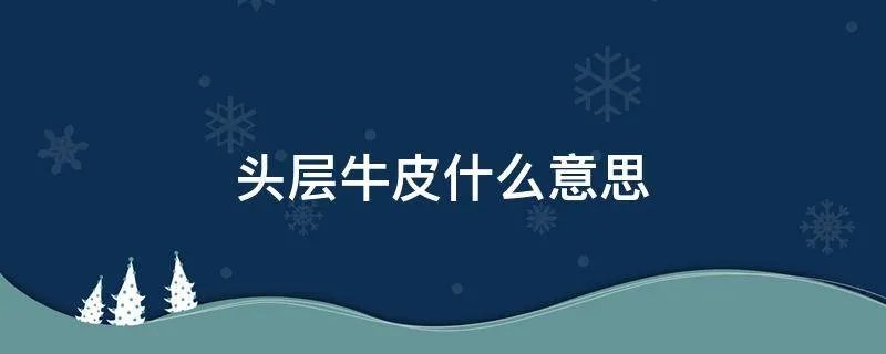 头层牛皮什么意思