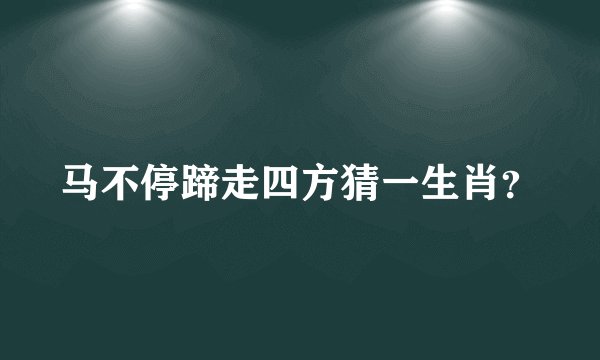马不停蹄走四方猜一生肖？
