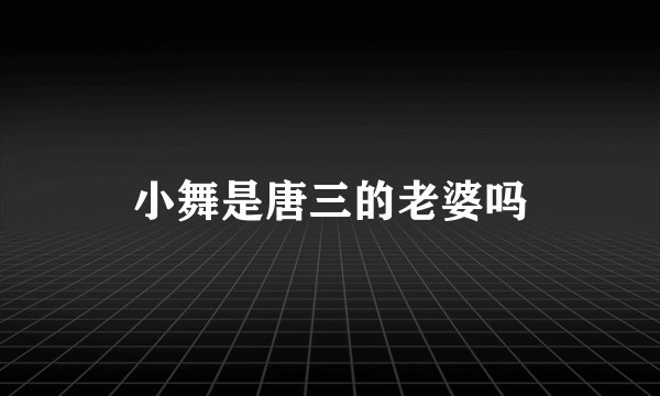 小舞是唐三的老婆吗