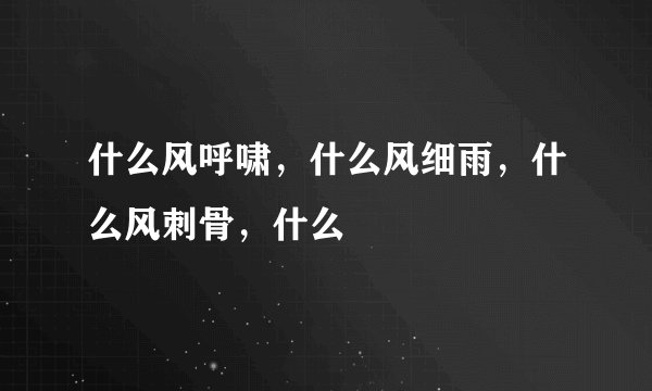 什么风呼啸,什么风细雨,什么风刺骨,什么