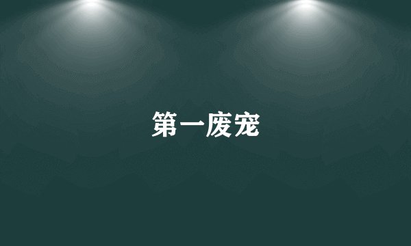 第一废宠