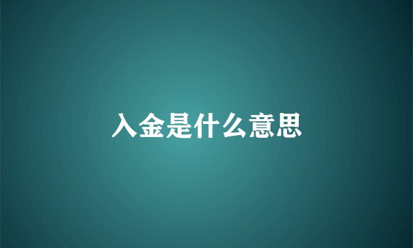 入金是什么意思