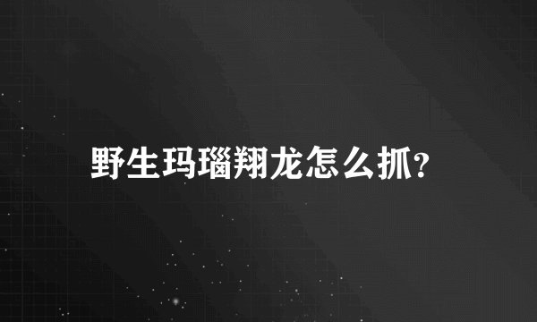 野生玛瑙翔龙怎么抓？