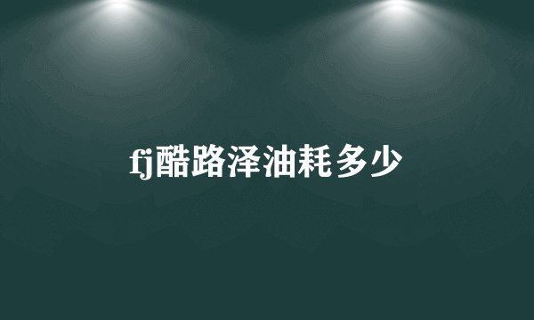 fj酷路泽油耗多少