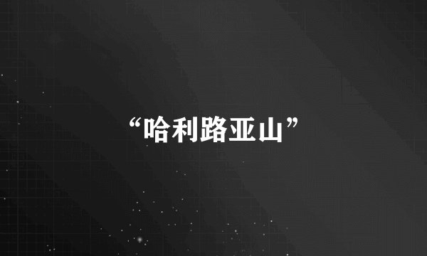 “哈利路亚山”