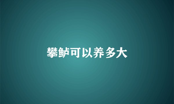 攀鲈可以养多大